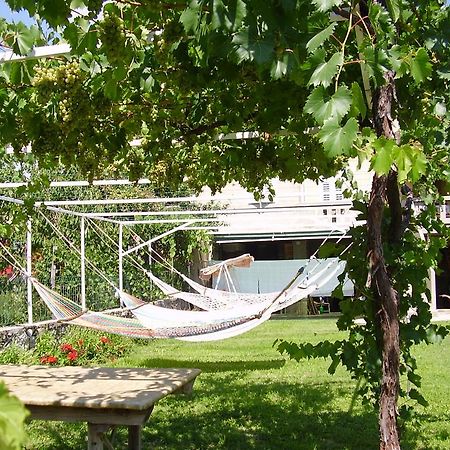 Guest House Darinka Draga Bascanska Exterior photo