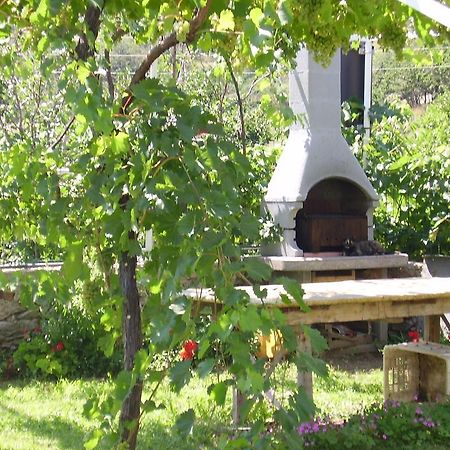 Guest House Darinka Draga Bascanska Exterior photo