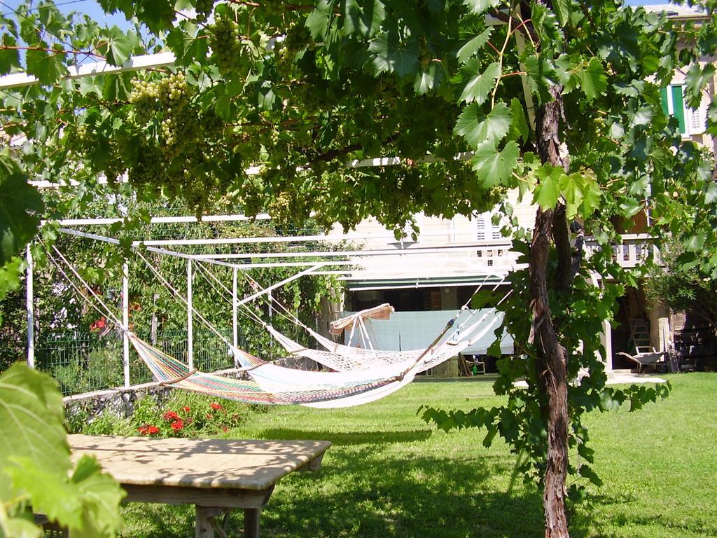 Guest House Darinka Draga Bascanska Exterior photo