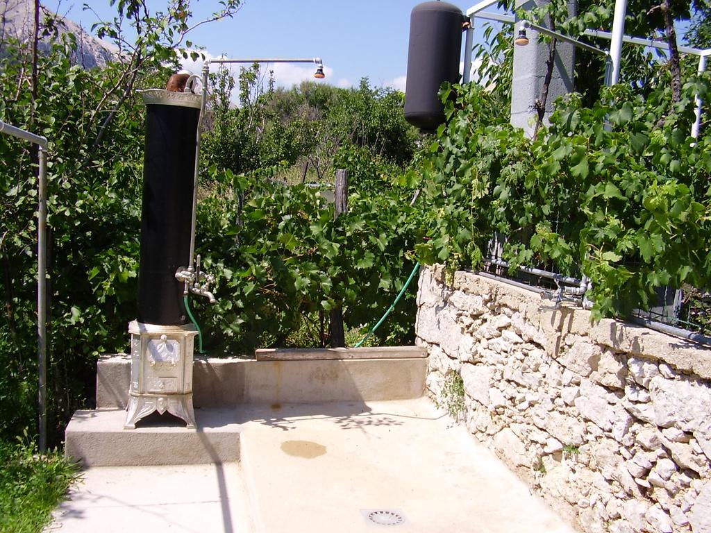 Guest House Darinka Draga Bascanska Exterior photo