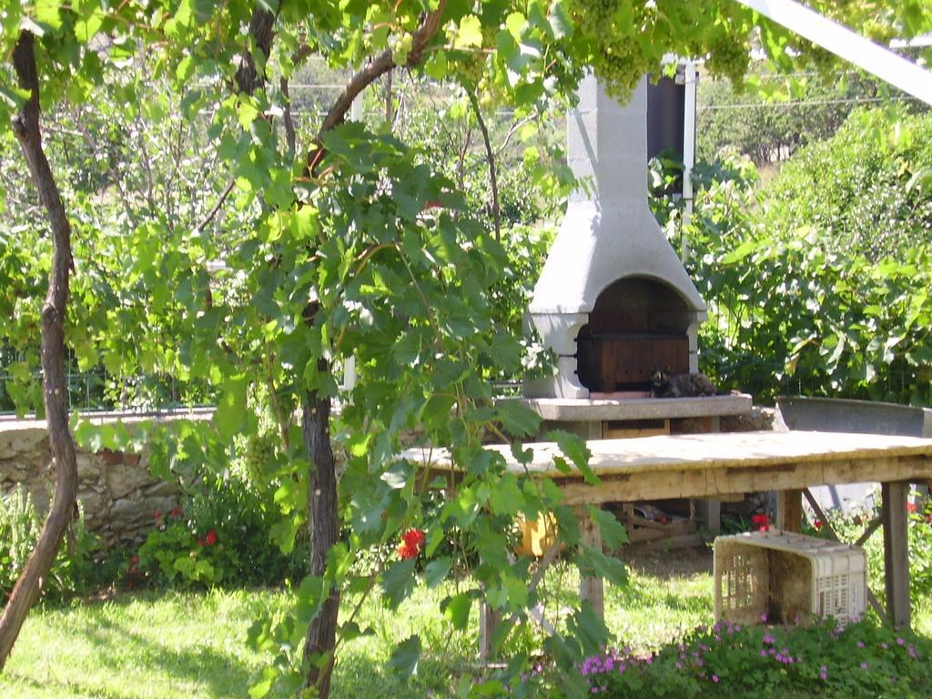 Guest House Darinka Draga Bascanska Exterior photo