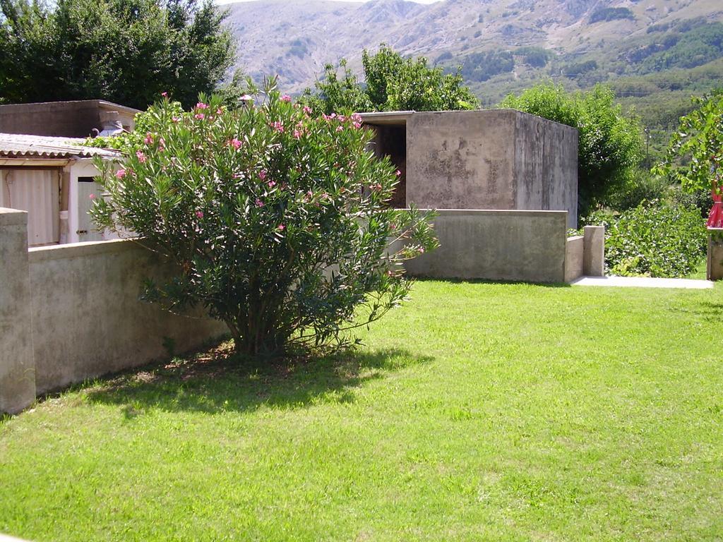 Guest House Darinka Draga Bascanska Exterior photo