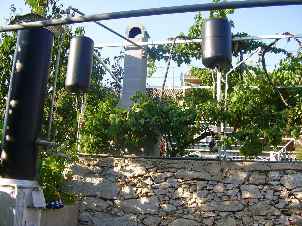Guest House Darinka Draga Bascanska Exterior photo